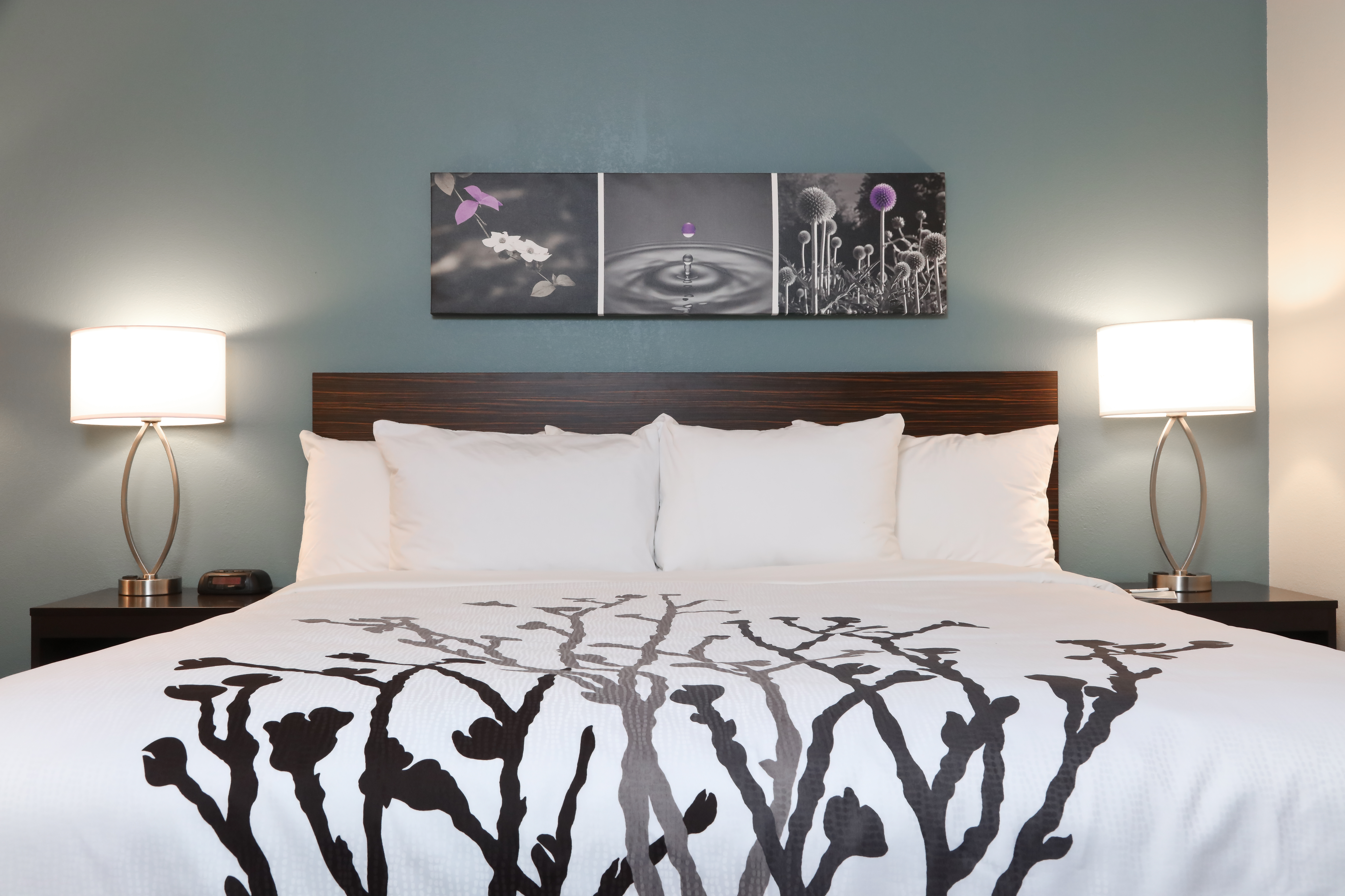 Sleep Inn & Suites Guestroom Prototype 